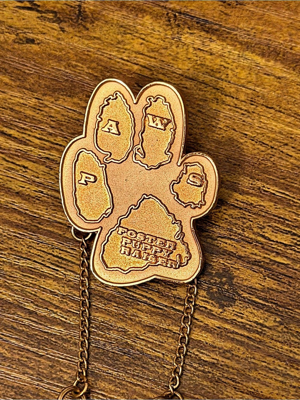 2003 PAWS Foster Puppy Raiser Paw Pin Dangle Bone Service Dog Volunteer